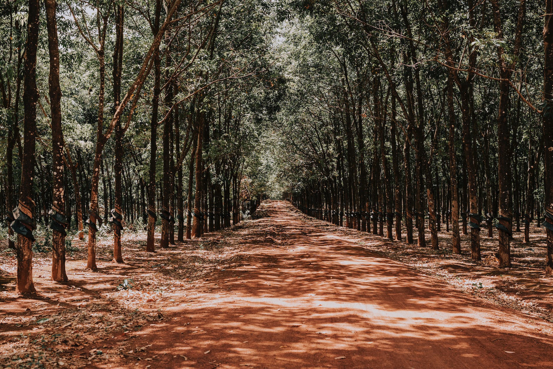 What to do when life is out of control