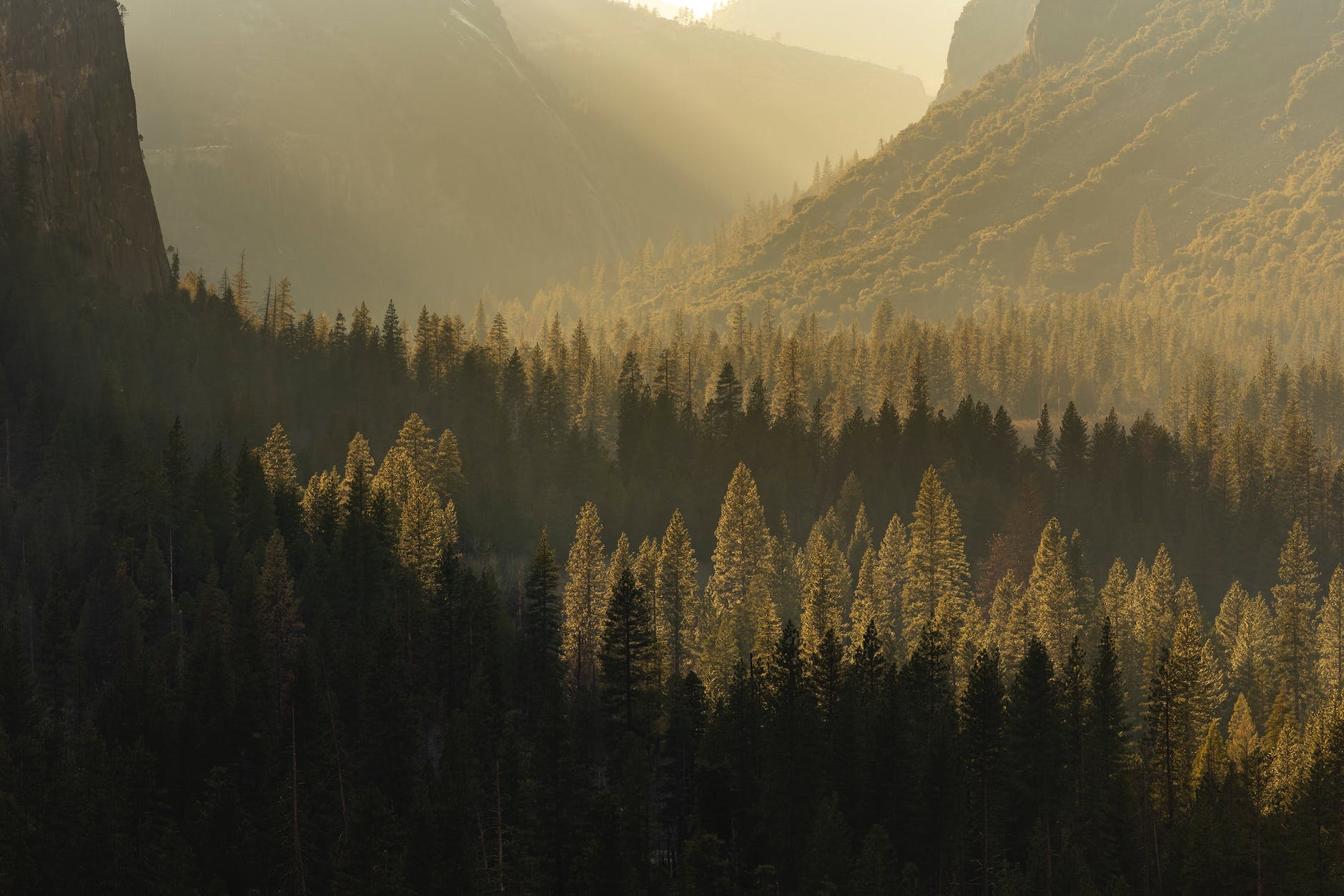 Hope When Anxiety and Depression Are Debilitating